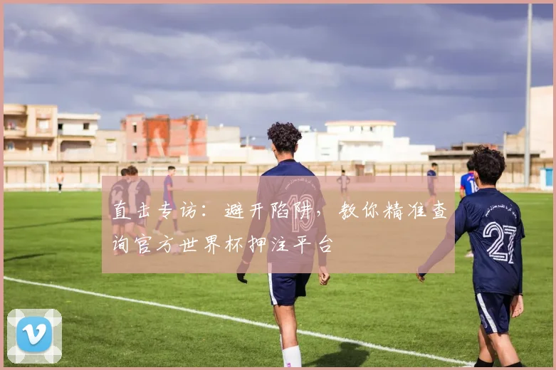 直击专访：避开陷阱，教你精准查询官方世界杯押注平台