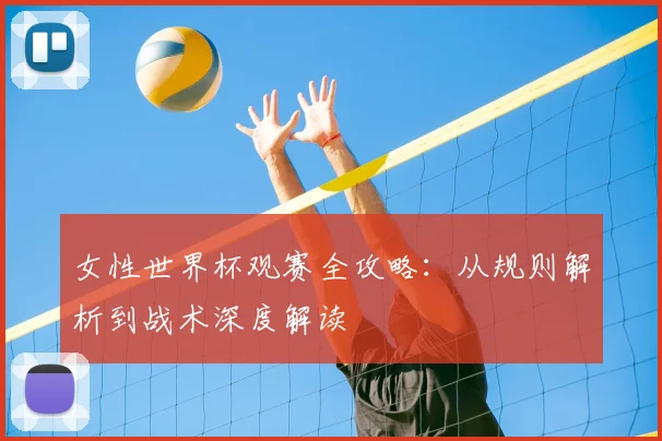 女性世界杯观赛全攻略：从规则解析到战术深度解读