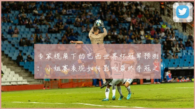 专家视角下的巴西世界杯冠军预测:小组赛表现如何影响最终夺冠之路