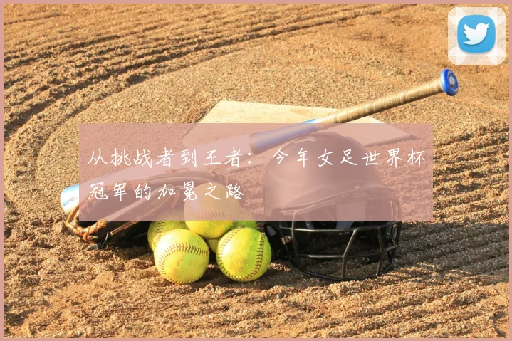 从挑战者到王者:今年女足世界杯冠军的加冕之路
