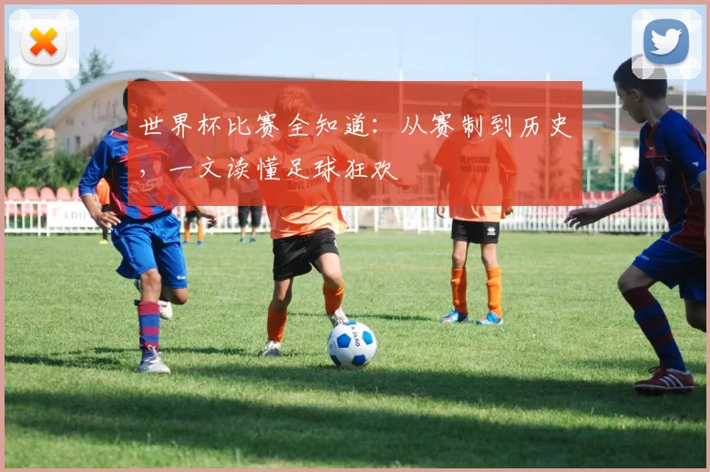 世界杯比赛全知道:从赛制到历史,一文读懂足球狂欢