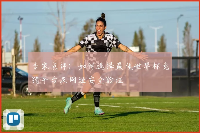 专家点评:如何选择最佳世界杯竞猜平台及网址安全验证