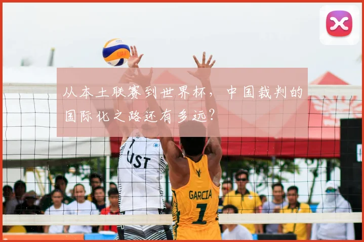 从本土联赛到世界杯,中国裁判的国际化之路还有多远?