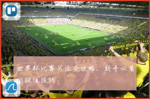世界杯比赛买法全攻略：新手必看的投注技巧