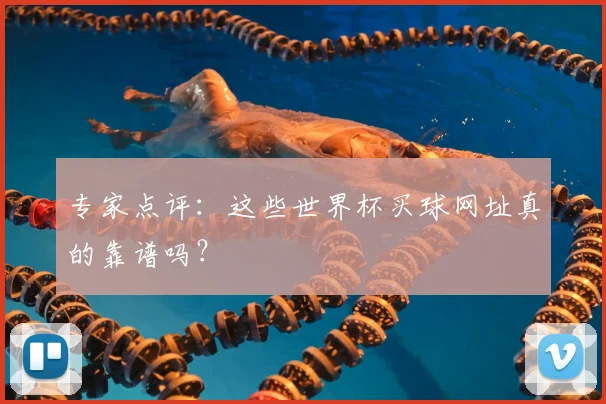 专家点评:这些世界杯买球网址真的靠谱吗?