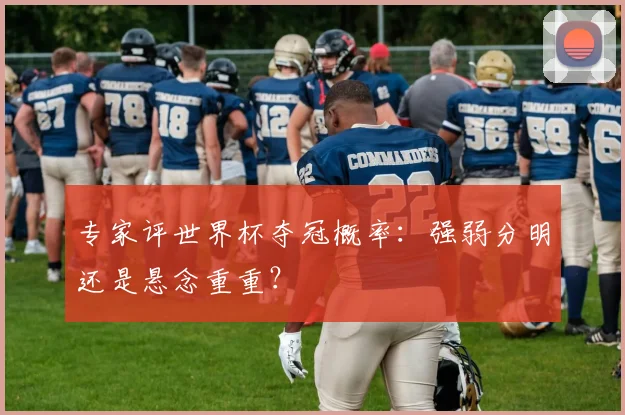 专家评世界杯夺冠概率：强弱分明还是悬念重重？