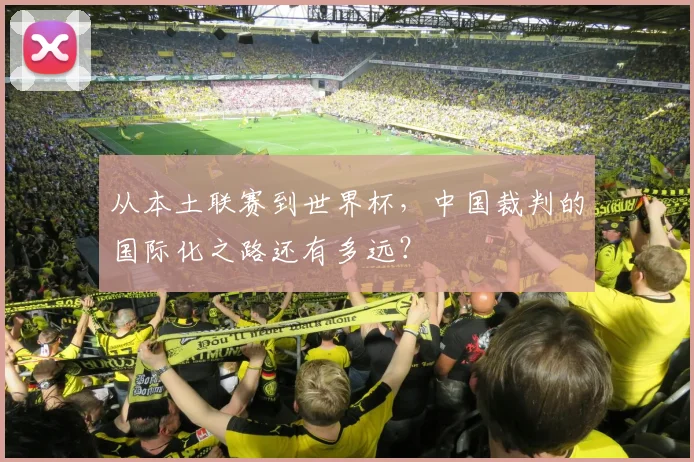 从本土联赛到世界杯,中国裁判的国际化之路还有多远?
