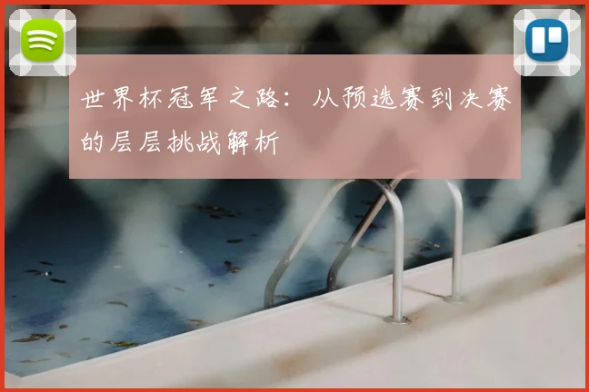 世界杯冠军之路:从预选赛到决赛的层层挑战解析